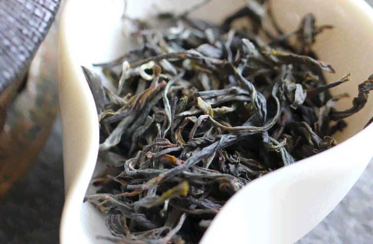 普洱茶：从生茶到熟茶，饼茶与新茶的全方位解析