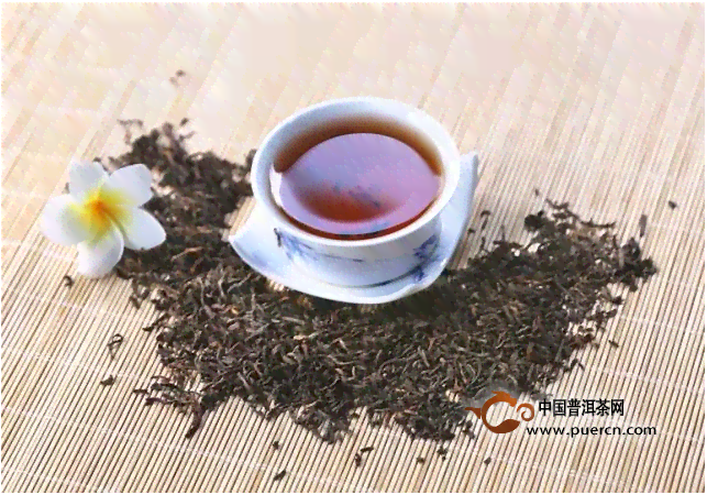 普洱茶：从生茶到熟茶，饼茶与新茶的全方位解析