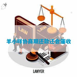 关于羊小咩贷款复借的相关问题解答