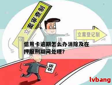 信用卡逾期怎么办：分期还款、服刑期间处理、公司欠薪应对、被判刑后处理