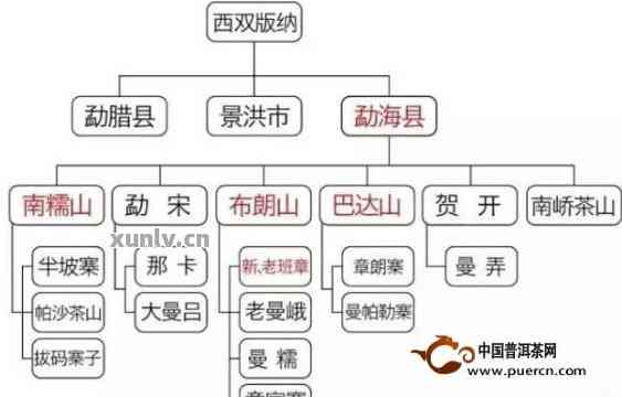 全国普洱茶介绍