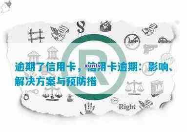 全面逾期困境：信用卡应对策略与解决方案