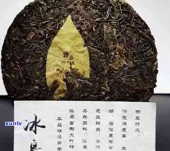 冰岛800年老树普洱茶：价格、品质、故事与泡法全面解析