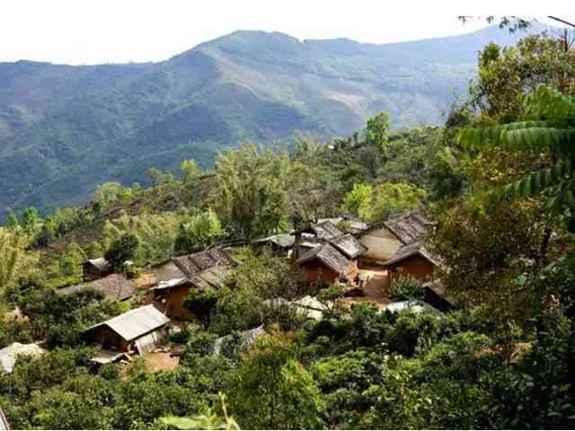 80年冰岛老寨普洱茶值多少钱