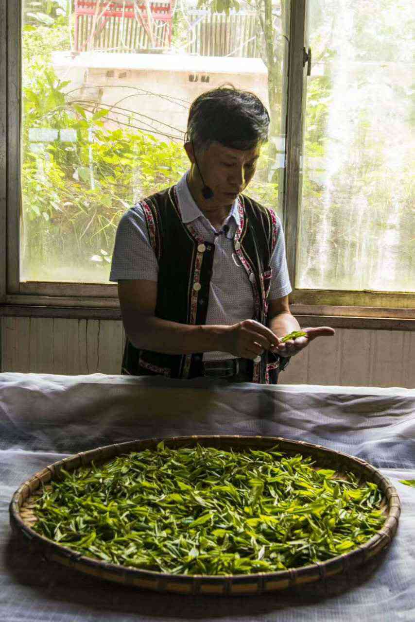 云南普洱茶制作技艺：中国非物质文化遗产的传承与创新