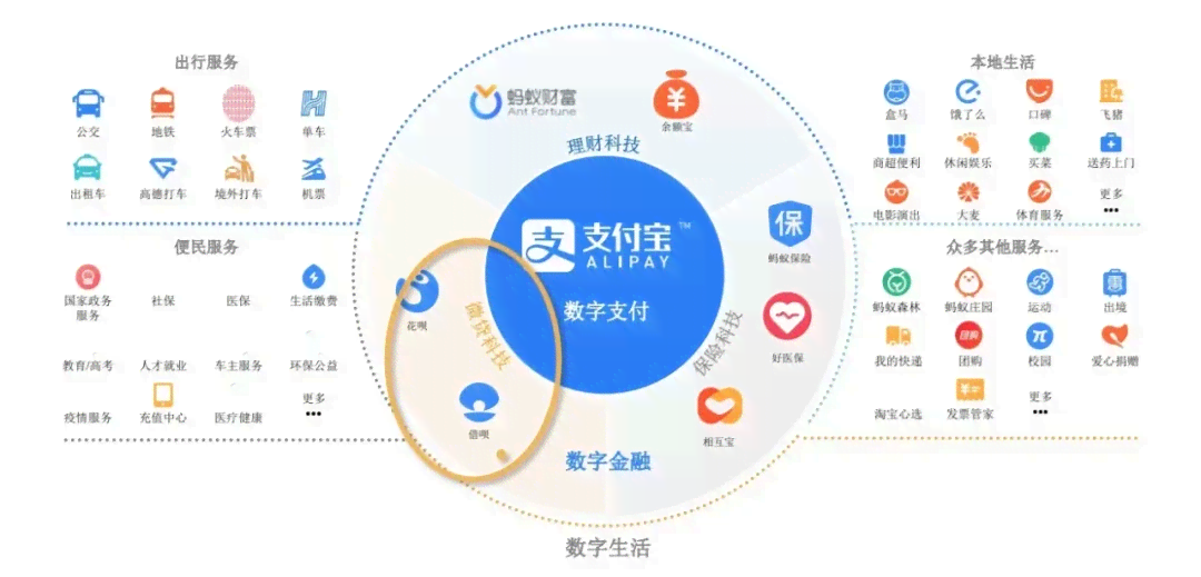 马云信用卡逾期怎么办