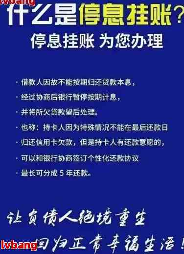 怎么样能停息挂账、还款和贷款：成功策略与指南