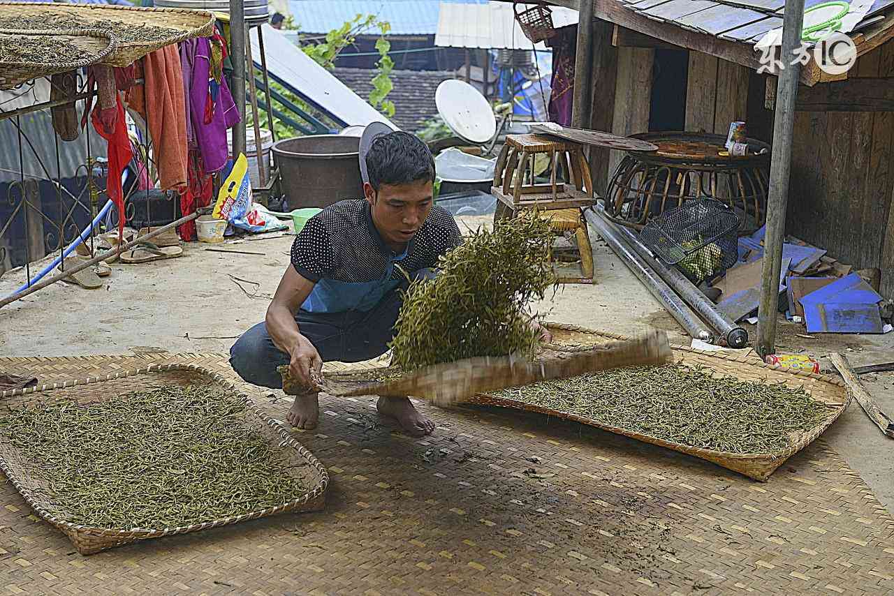 精选普洱茶：排行榜中的顶级品质茶品