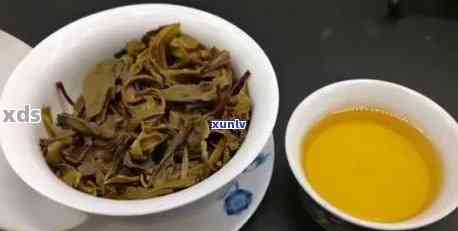 普洱茶名品：品鉴、功效与泡法全解析 - 一篇全面的普洱茶指南