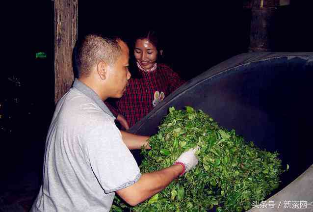 240克水应该投多少克普洱茶