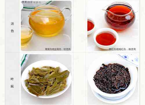 '08年普洱茶能喝吗？08年的普洱茶怎么样？08年的普洱茶大概多少钱一斤？'