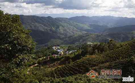 勐海普洱茶山十大排名及寨区介绍：探秘勐海茶产业核心地带