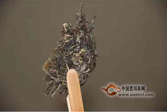 普洱茶春秋茶的特点和功效：不同节的普洱茶有什么特点？