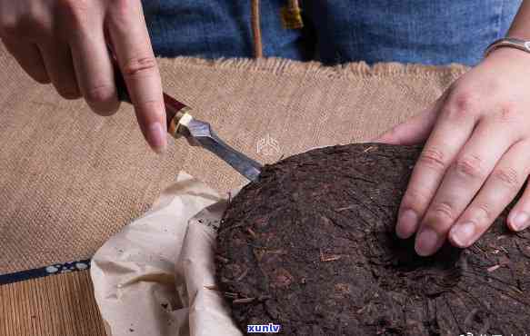 熟茶饼撬茶步骤：如何正确地品鉴普洱熟茶的美味之源