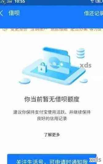 支付宝借呗逾期还款指南：如何查询总额度并处理欠款