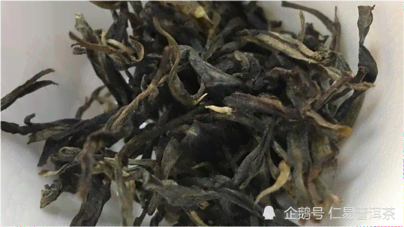 茶停世传奇普洱茶