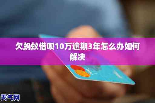 借呗逾期后被报警涉嫌提供虚假信息，我该如何解决这个问题？