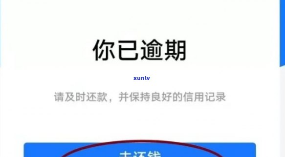 借呗逾期后被报警涉嫌提供虚假信息，我该如何解决这个问题？