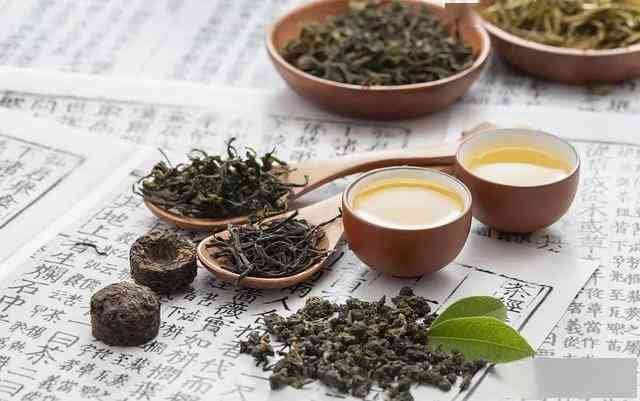 千年老妖茶百科：深入探索茶的历、品种、功效与泡法，解答您的所有疑问