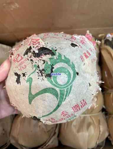 龙圆号西双版纳60年念茶：品味历、体验传统与领略热带风情的完美结合