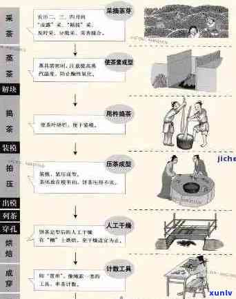 探索普洱茶的制茶工艺与生茶制作流程：从详解到实践