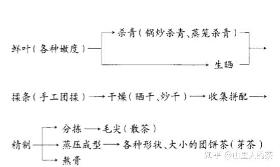 探索普洱茶的制茶工艺与生茶制作流程：从详解到实践