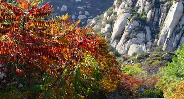 昆仑山玉虚峰道观：传统宗教与自然美景的完美融合