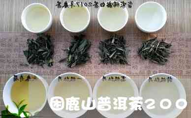 困鹿山普洱茶2005珍品价格