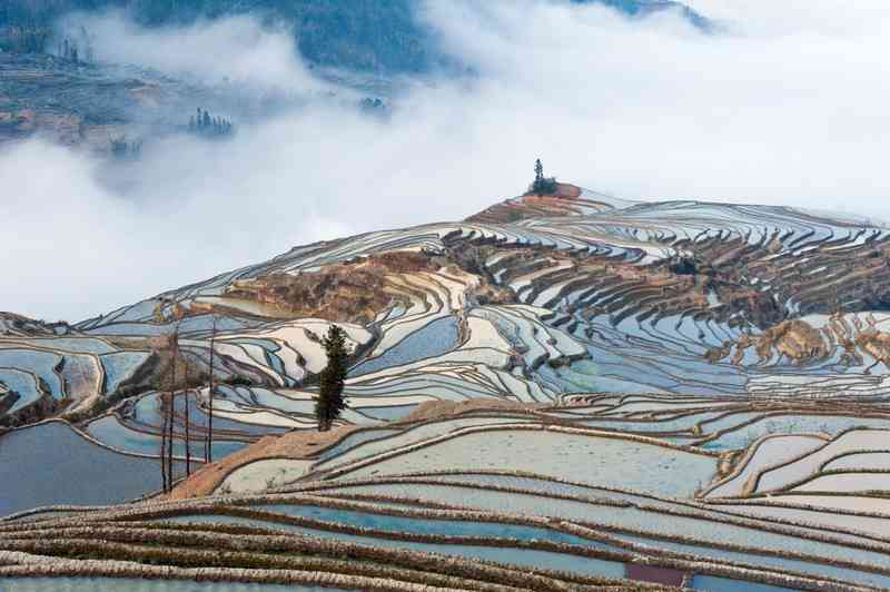 潤源普洱茶通化地区