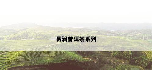 潤源普洱茶通化地区