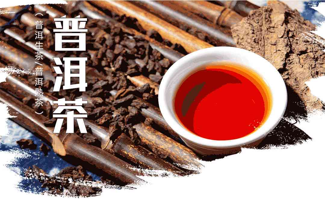 探索普洱茶上市时间的秘密：揭示春茶与新茶的差异与品饮时间