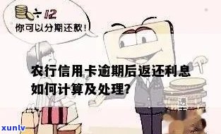 农业银行信用卡逾期一次的影响与还款策略