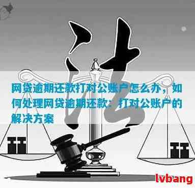 对公账户贷款逾期还款后果：安全吗？几天算不良？会罚款吗？