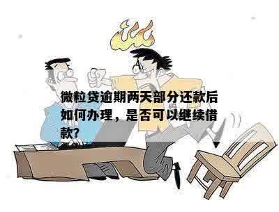 已偿还微粒贷逾期两天款项，再次借款是否可行？