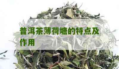 薄荷塘普洱茶是什么意思，口感如何，功效与作用？