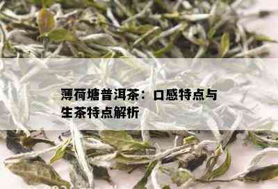 薄荷塘普洱茶是什么意思，口感如何，功效与作用？