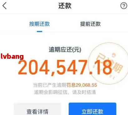 支付宝借呗超额还款全攻略：逾期处理与正确操作
