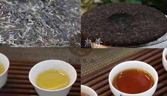 守兴普洱茶熟茶工艺全解析：从原料到制作过程，探索高品质茶叶的秘密