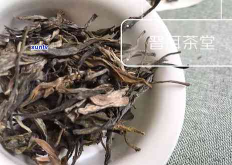 凤凰岭普洱茶价格多少一斤：最新市场解析与建议