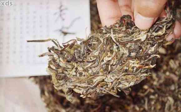 掌握这些方法，轻松判断普洱茶饼是否发霉