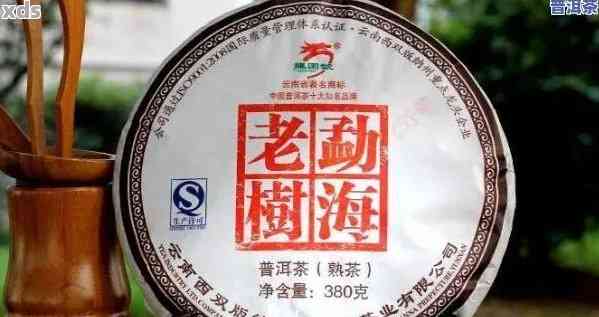 龙园号普洱茶价格查询2007特级茶及产品目录