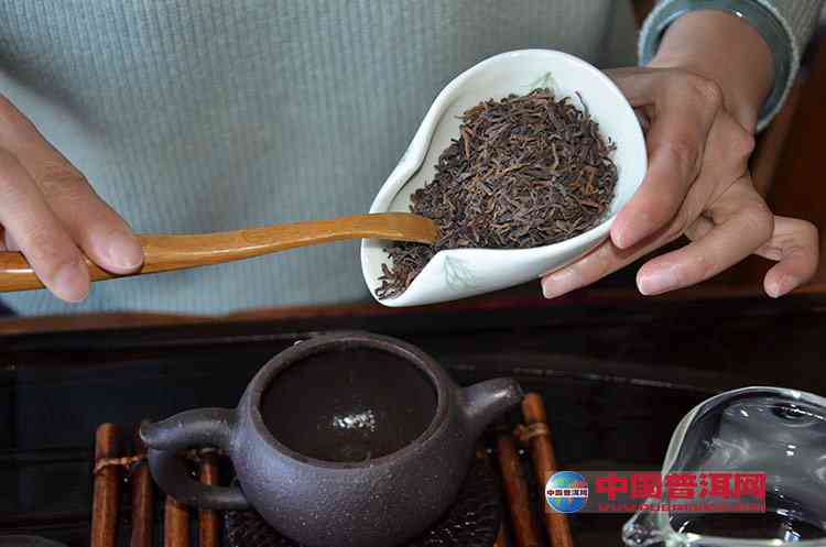 冲泡普洱茶用多少目的紫砂壶好一点？茶水比例如何确定？