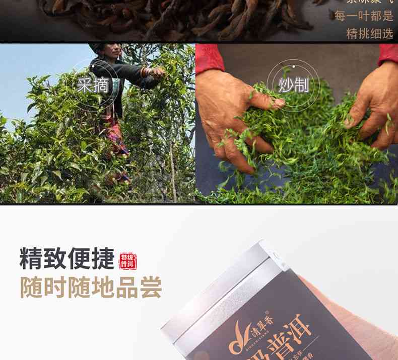 野樟香普洱茶熟茶散茶