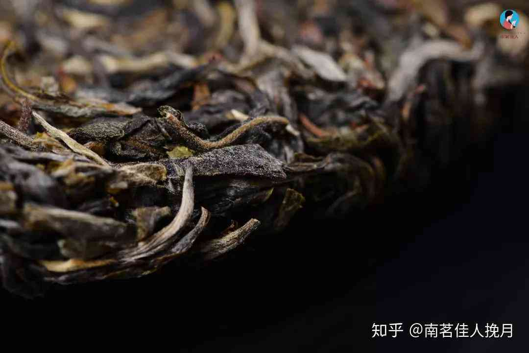 如何正确处理普洱茶饼轻微发霉问题，避免损失