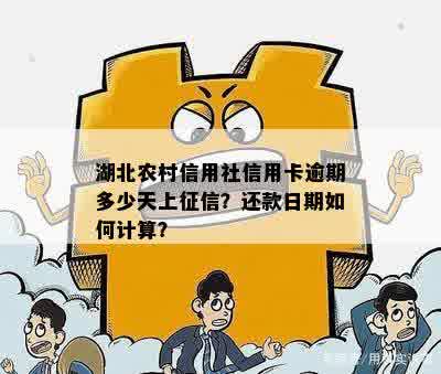 湖北省信用社信用卡：申请、使用、优及还款全攻略