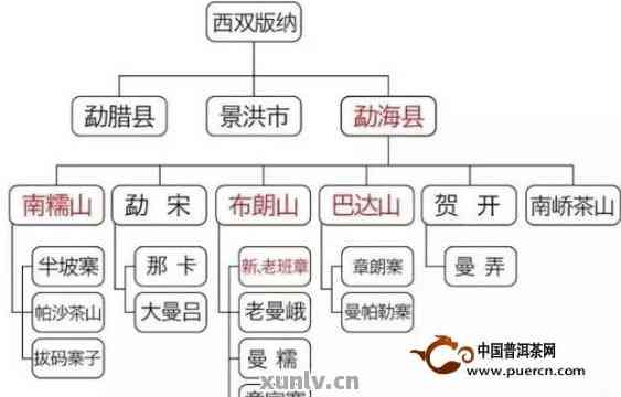 普洱茶产区及品质详解：深入了解其独特魅力与风味差异