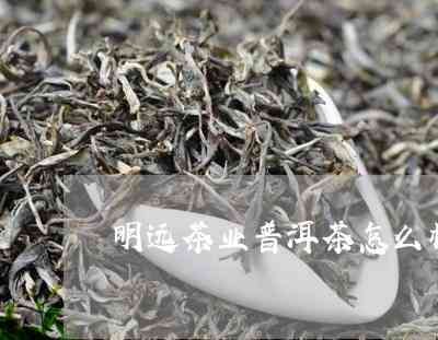 明远茶厂普洱茶价格表