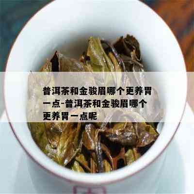 金骏眉与普洱茶：对比分析与选择指南，全面了解两种茶叶的优缺点及适用场景