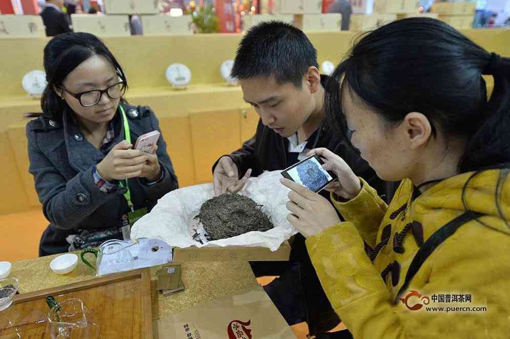 探究普洱茶产地直播中的品尝体验