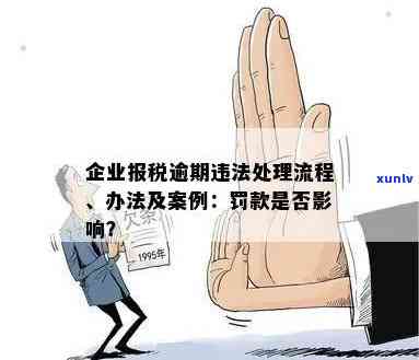 首次逾期报税的全面解决方案：如何应对、补救和预防